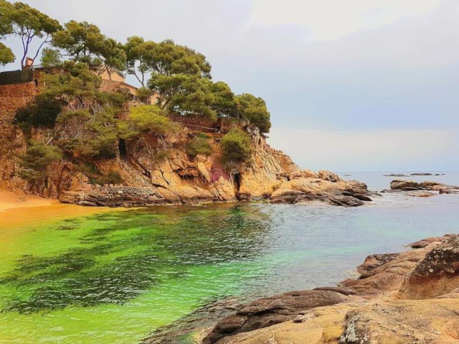 Apartamento Platja D 'Aro, 5 Camas 2 Dormitorios Platja d'Aro Eksteriør bilde